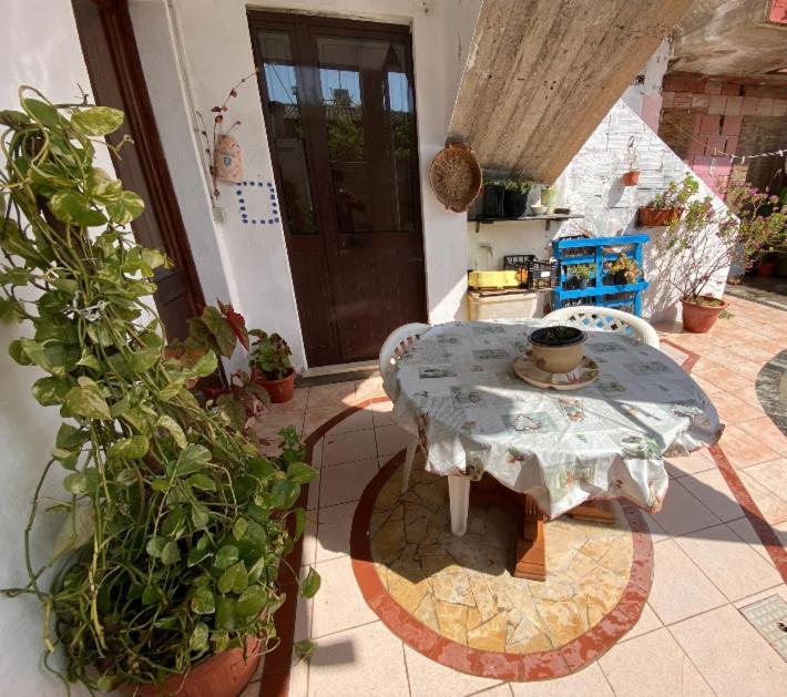Shaka Guest House Giba ภายนอก รูปภาพ